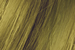 925 Green Blond